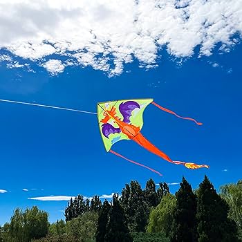 Amazon.co.jp: emma kites 152cm ドラゴン 三角凧 カイト 100M凧糸と